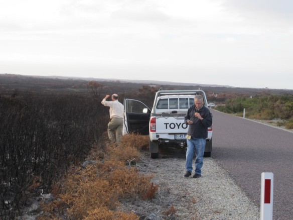 Greg (left) and Mike (right) hasn't seen the burn at close range before. The road provided a fire break in this area.